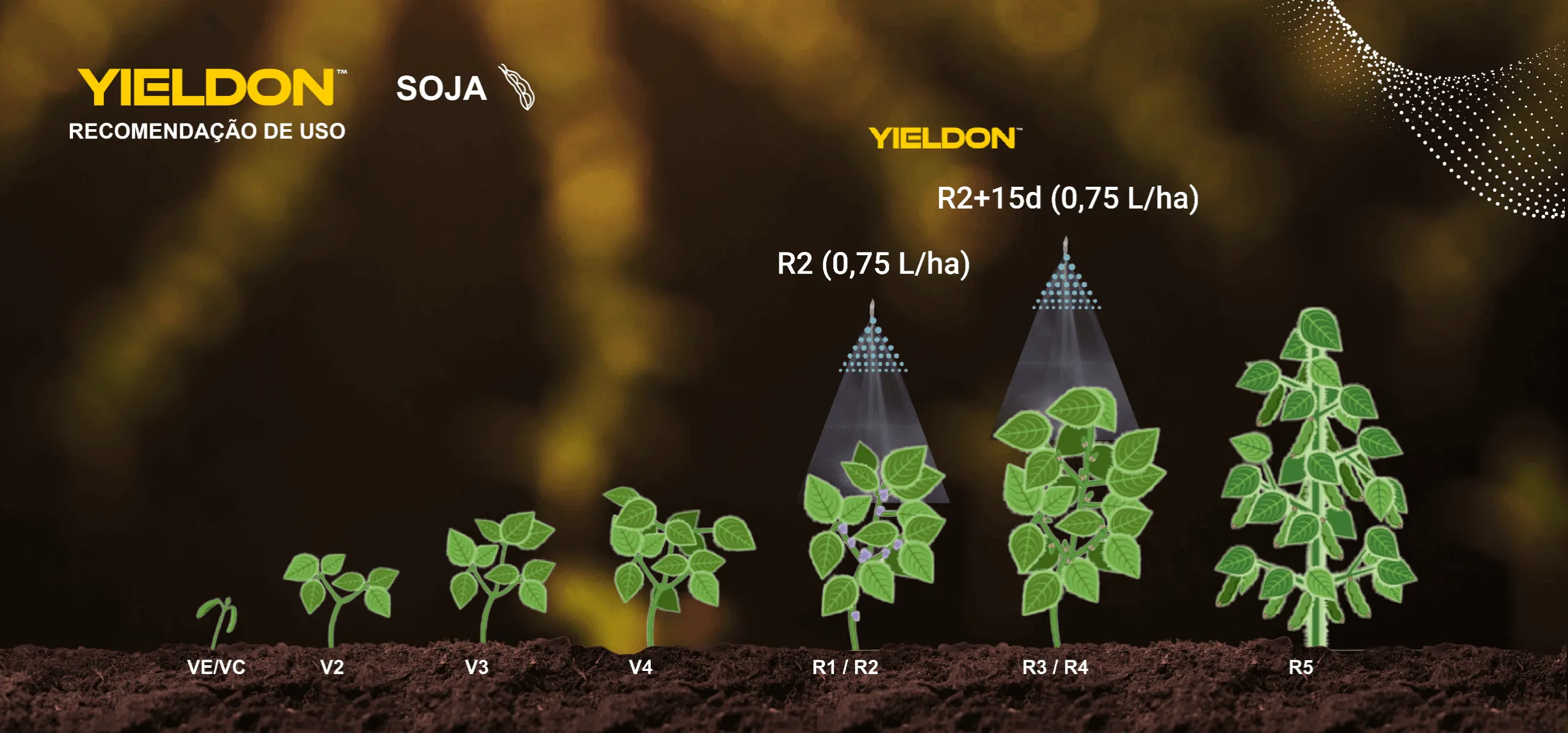 Posicionamento do produto na cultura do milho.