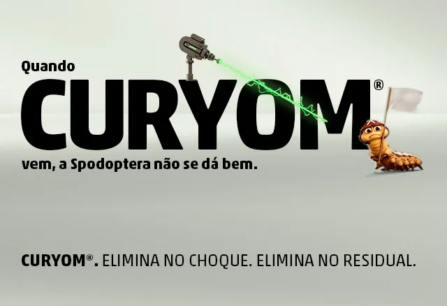 Fungicida multissítio Bravonil