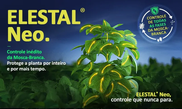 Elestal Neo Soja