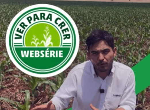 CURYOM®️ Ver para Crer | EP 7: do efeito de choque à proteção prolongada no milho