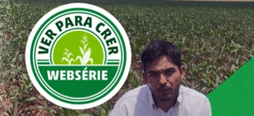 CURYOM®️ Ver para Crer | EP 7: do efeito de choque à proteção prolongada no milho