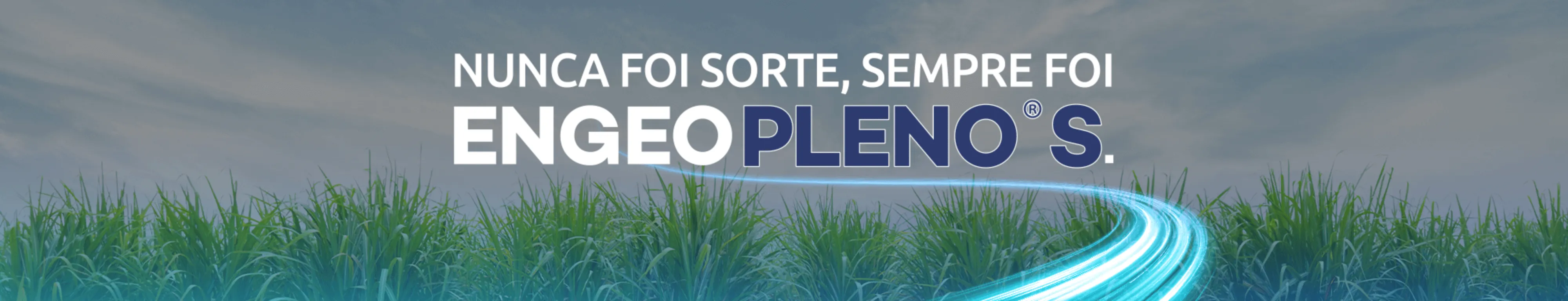 Engeo Pleno S: evolução do controle do Sphenophorus levis
