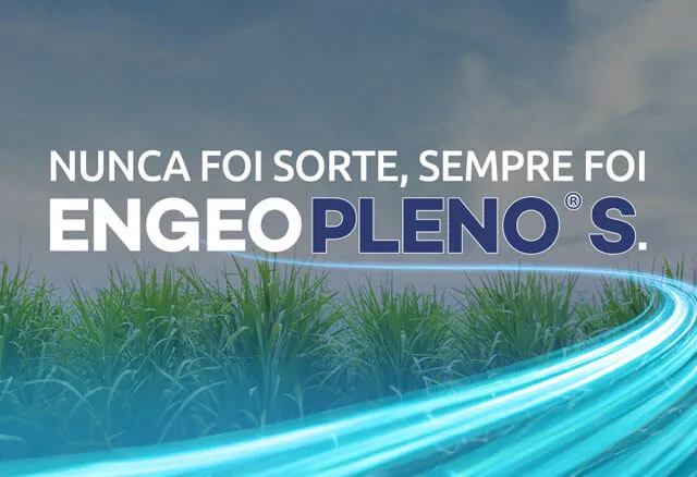 Engeo Pleno S: evolução do controle do Sphenophorus levis