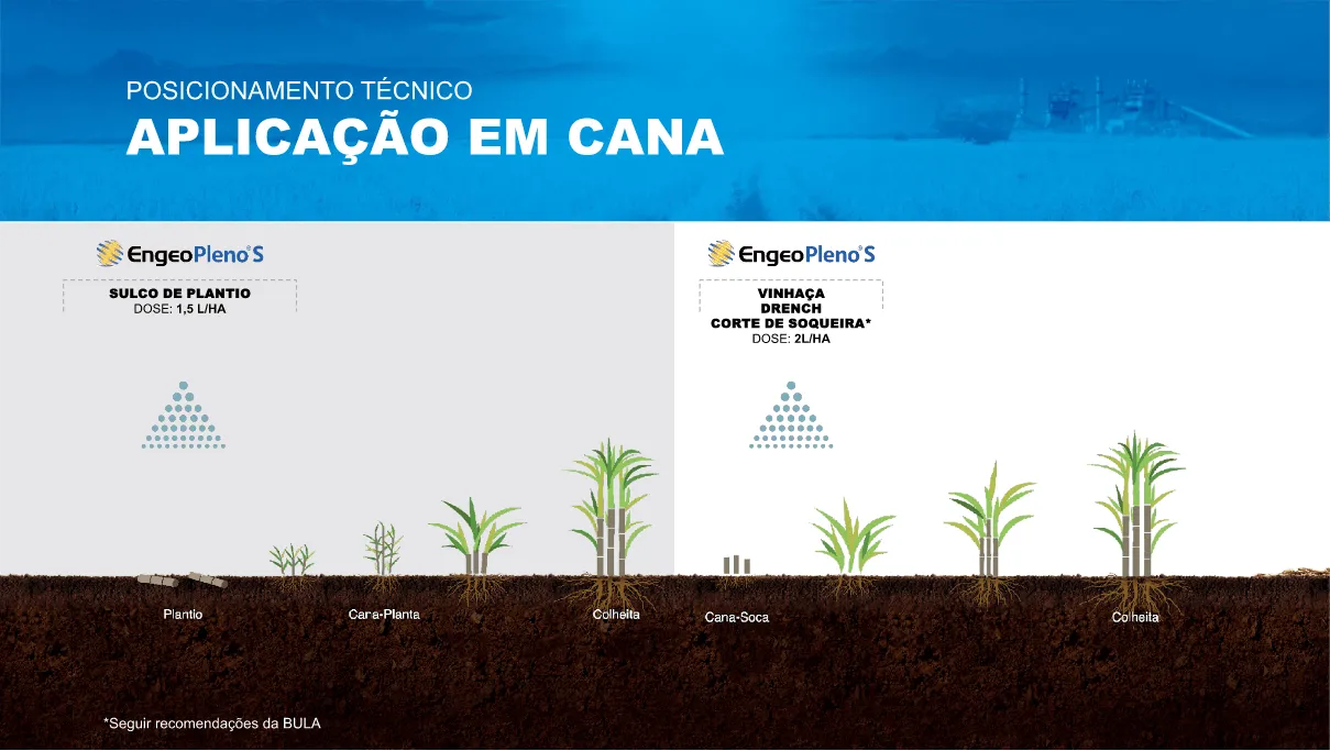 Posicionamento de Engeo Pleno S na cultura da cana