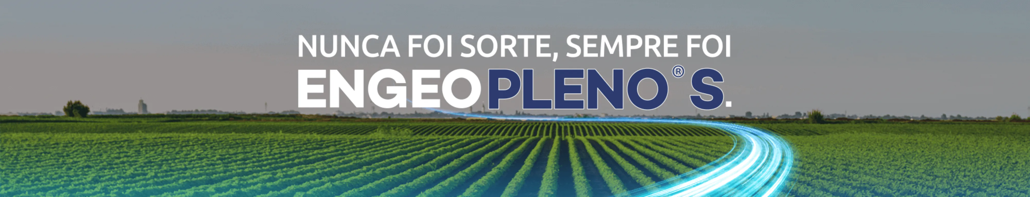 Inseticida Engeo Pleno S: choque e residual sem igual