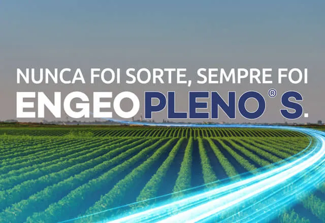 Inseticida Engeo Pleno S: choque e residual sem igual