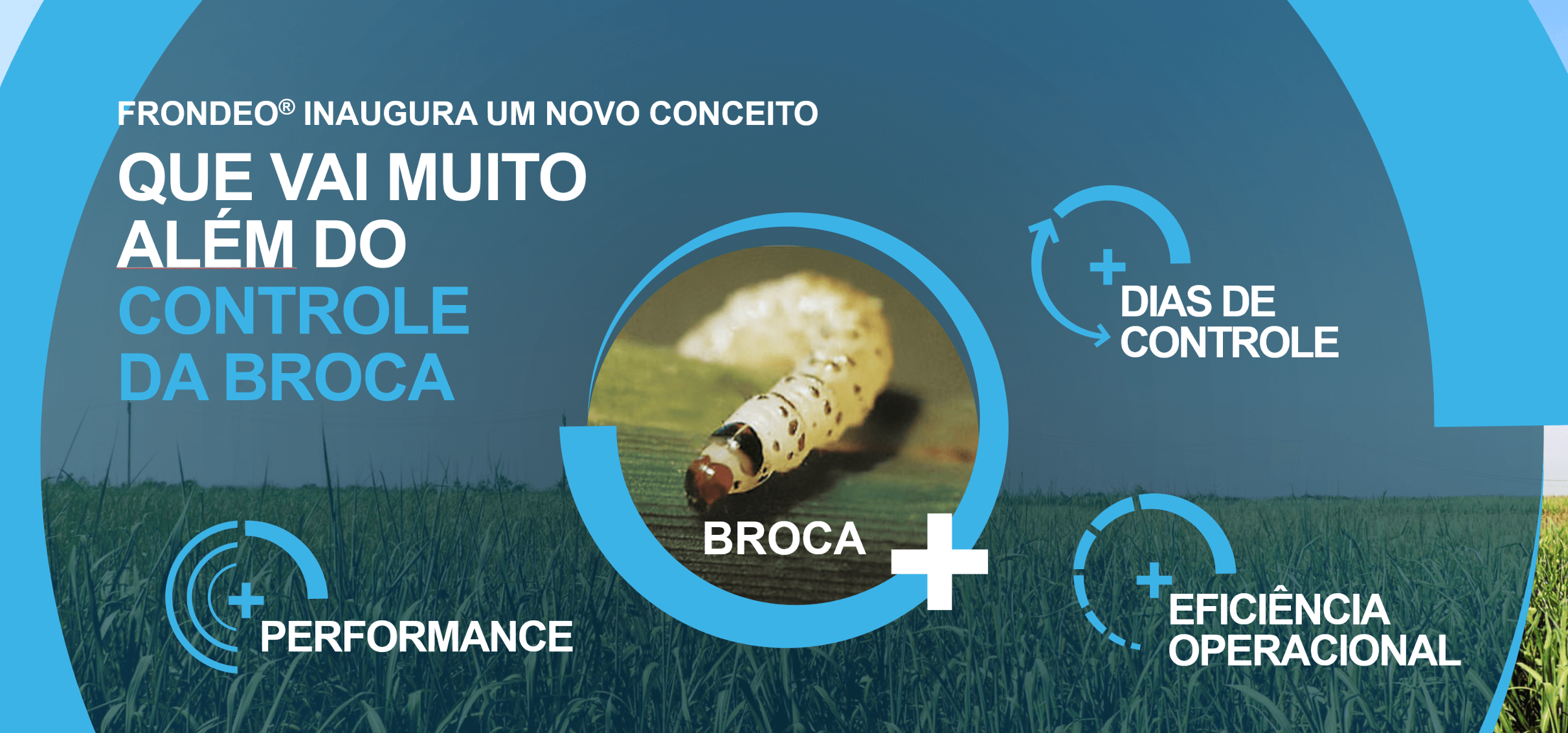  Mitrion é composto por Solatenol (Carboxamida) e Protioconazol (Triazol)
