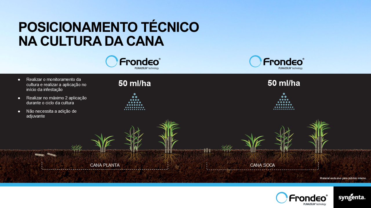  Mitrion é composto por Solatenol (Carboxamida) e Protioconazol (Triazol)