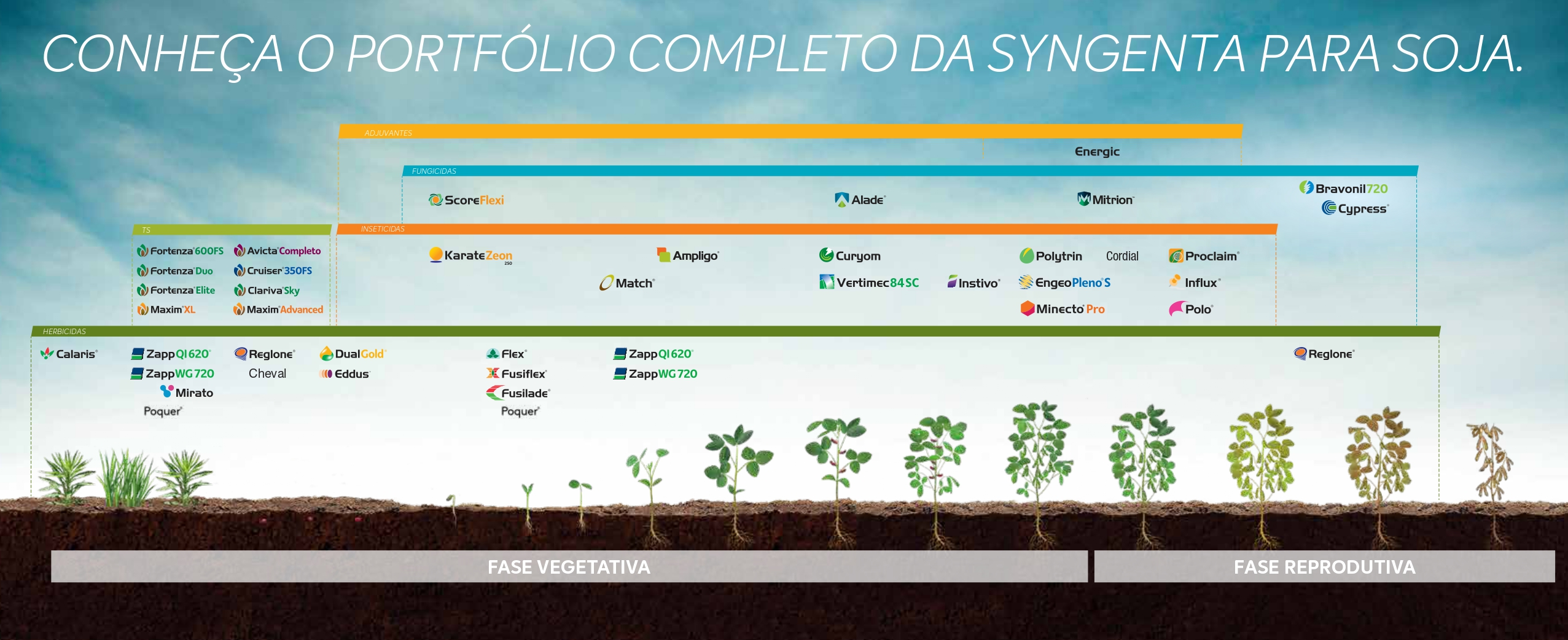 Posicionamento das soluções da Syngenta na cultura da soja