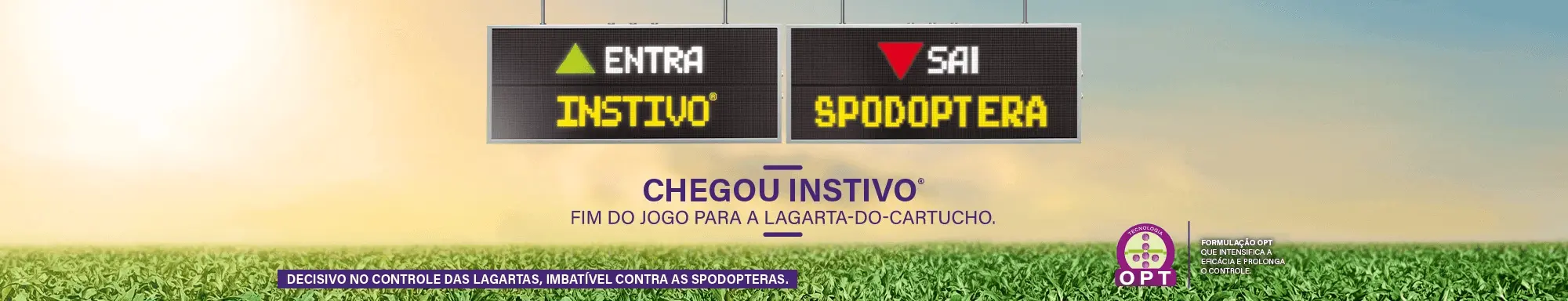 Instivo. Eficácia contra as lagartas. Imbatível contra as Spodopteras
