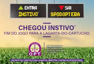 Instivo. Eficácia contra as lagartas. Imbatível contra as Spodopteras
