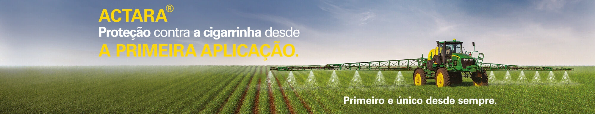 Actara, controla cigarrinhas