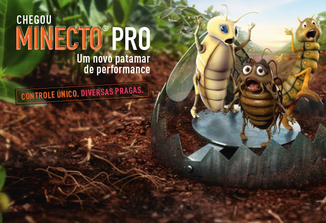 Minecto Pro
