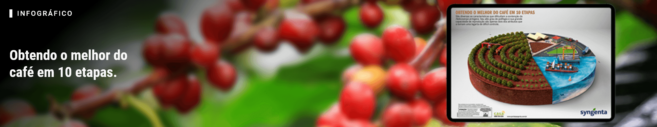 Infográfico: Obtendo o melhor do café em 10 etapas.
