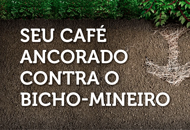 Durivo: controle de bicho-mineiro na cultura de café