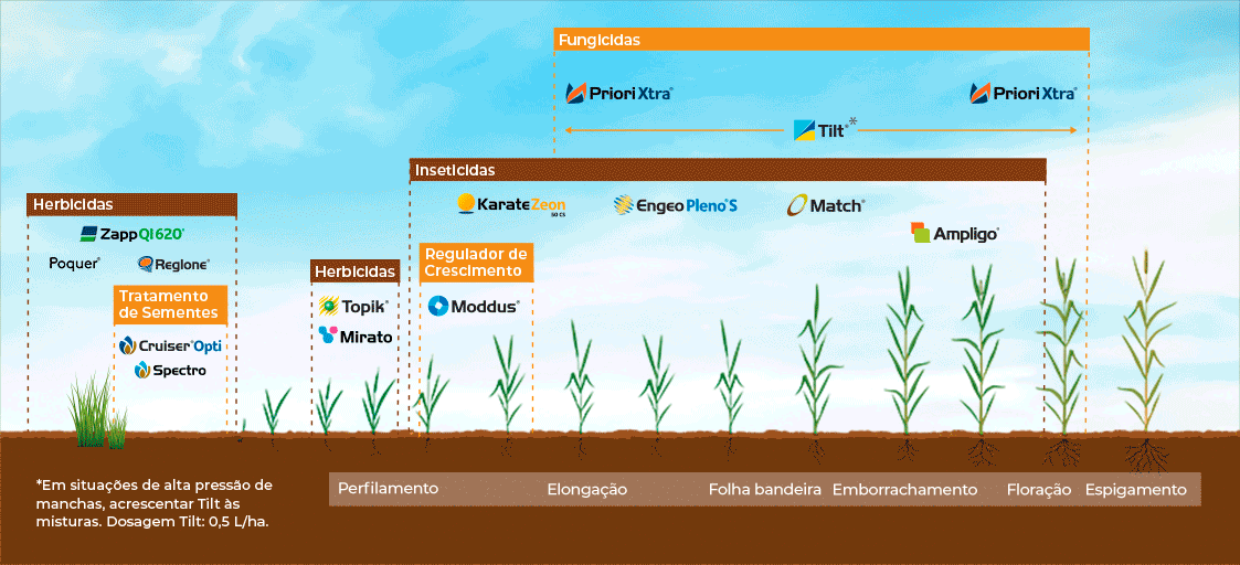  Posicionamento das soluções Syngenta na cultura do trigo.