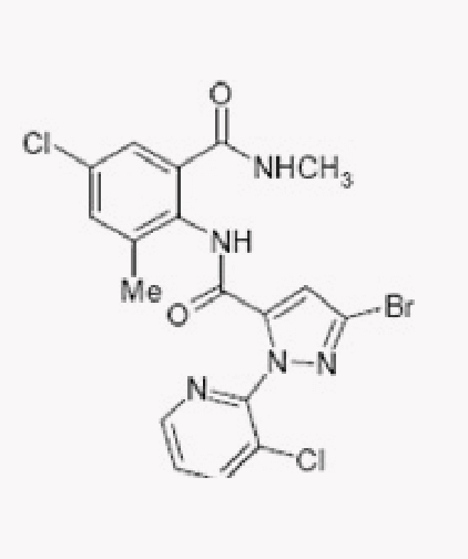 Molécula: Chlorantranilprole 45 g ai /L; Grupo químico: DIAMIDAS
