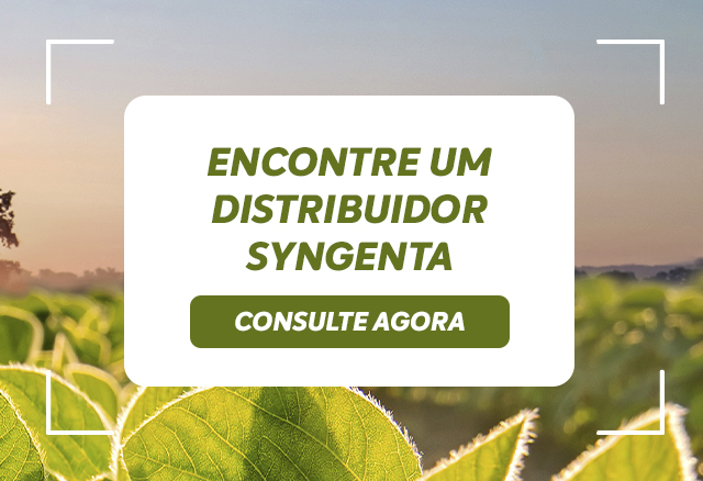 Encontre um distribuidor