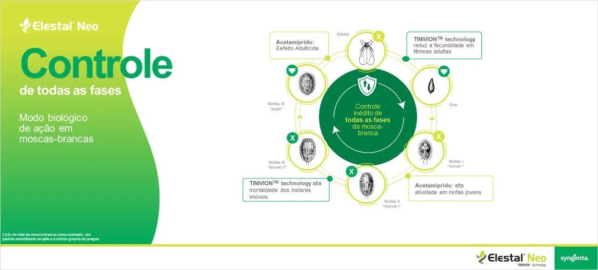 Posicionamento do produto na cultura de soja