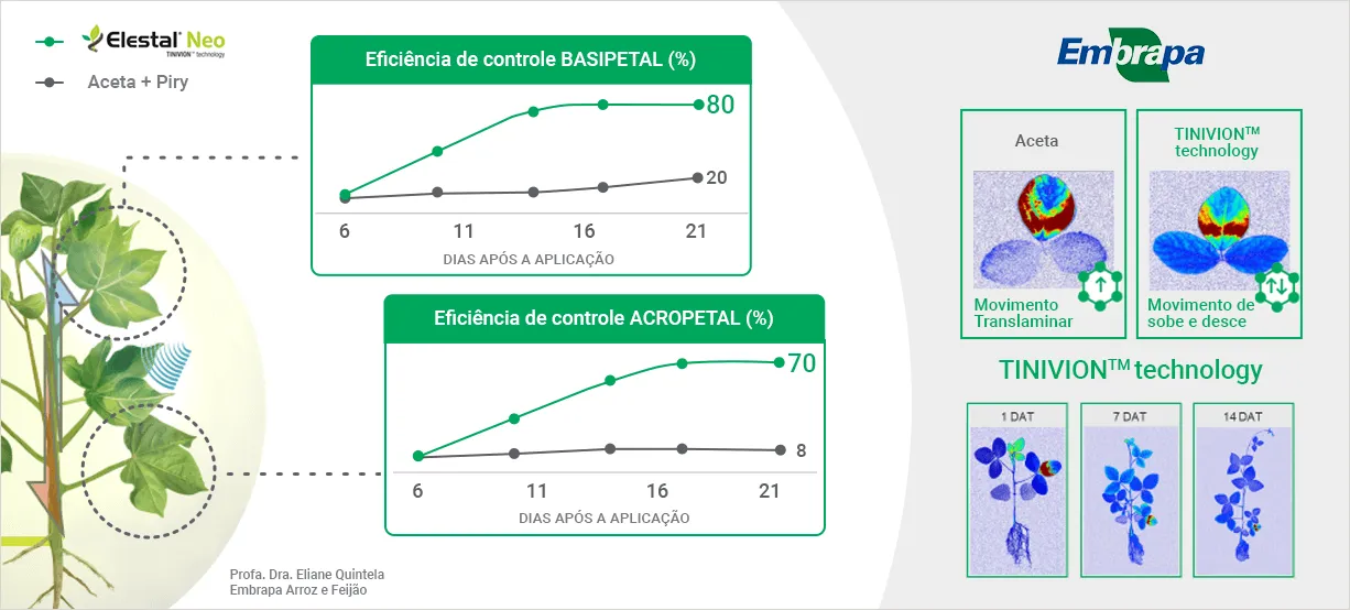Posicionamento do produto na cultura de soja