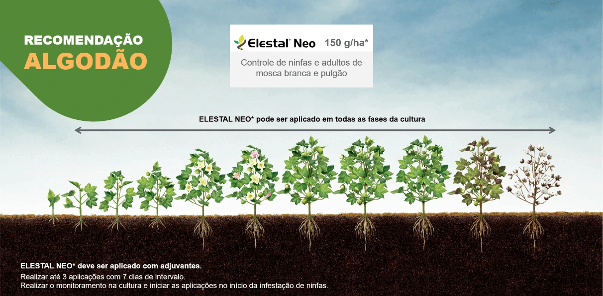 Posicionamento do produto na cultura de soja