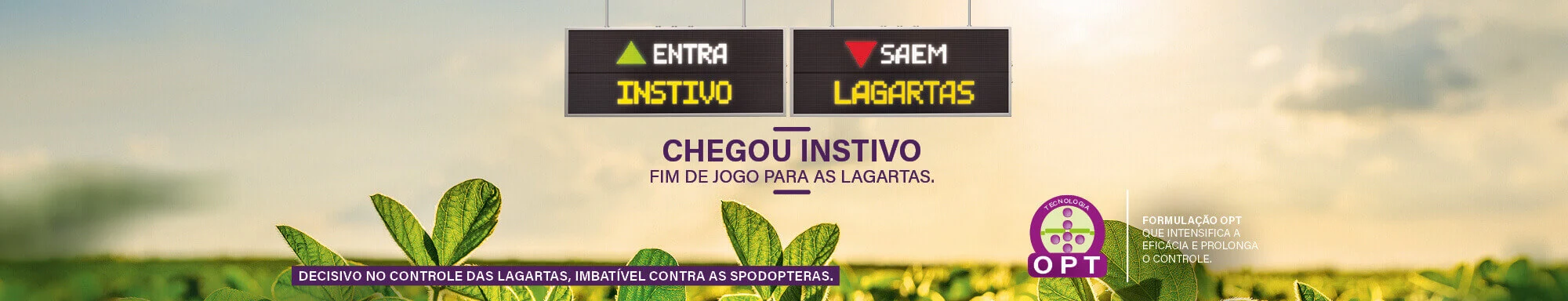 O inseticida que protege a planta por inteiro e por muito mais tempo.