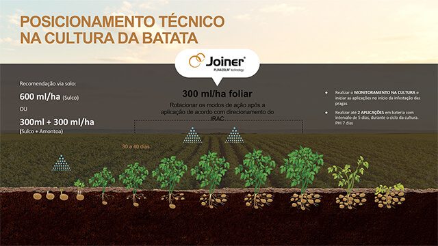 Posicionamento técnico Joiner na batata