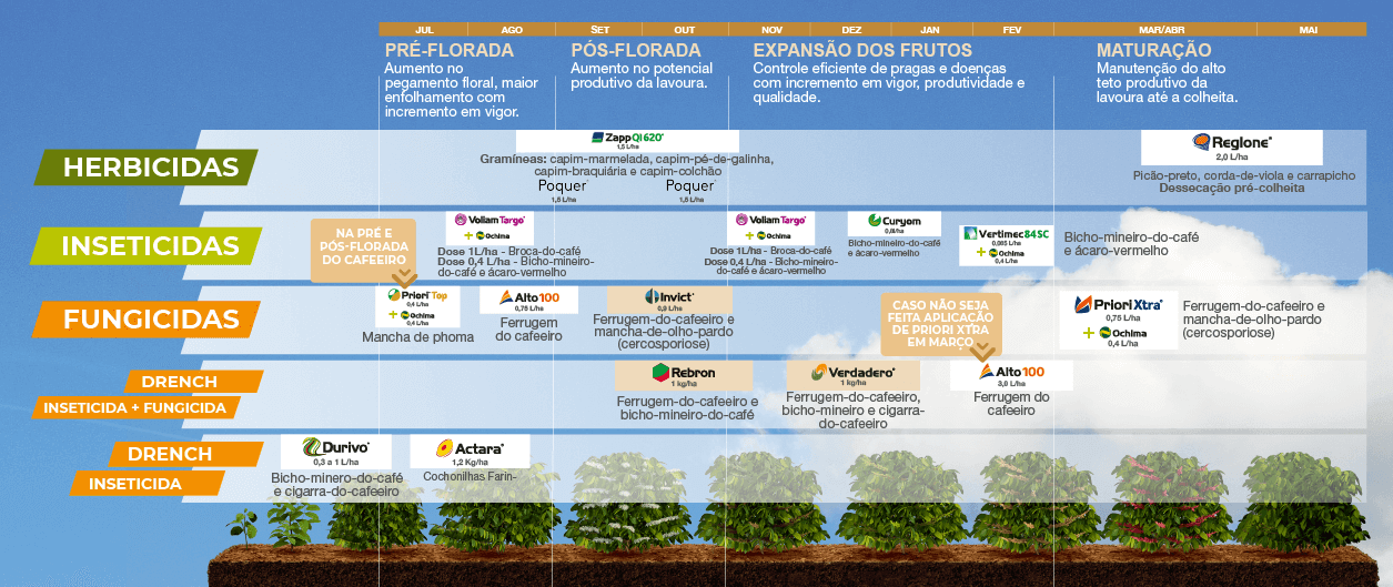 Posicionamento das soluções da Syngenta na cultura do café.