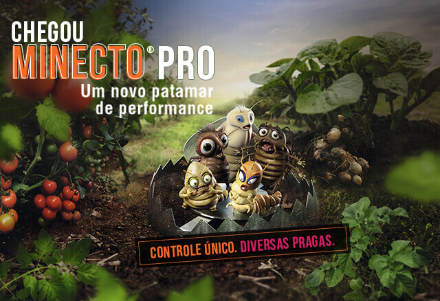Minecto Pro
