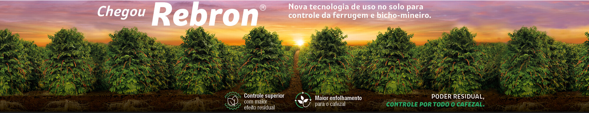 Rebron