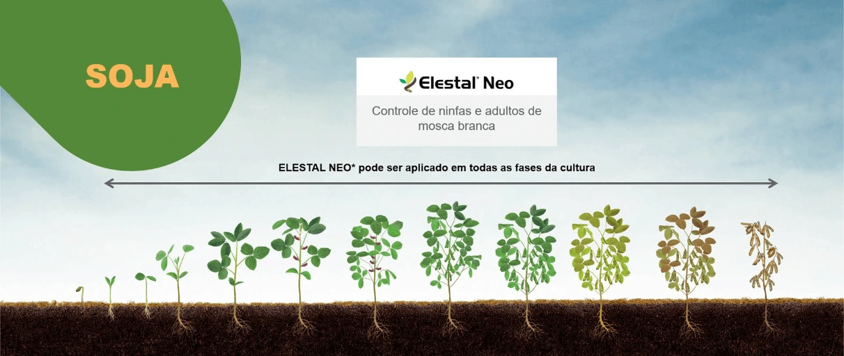 Posicionamento do produto na cultura de soja