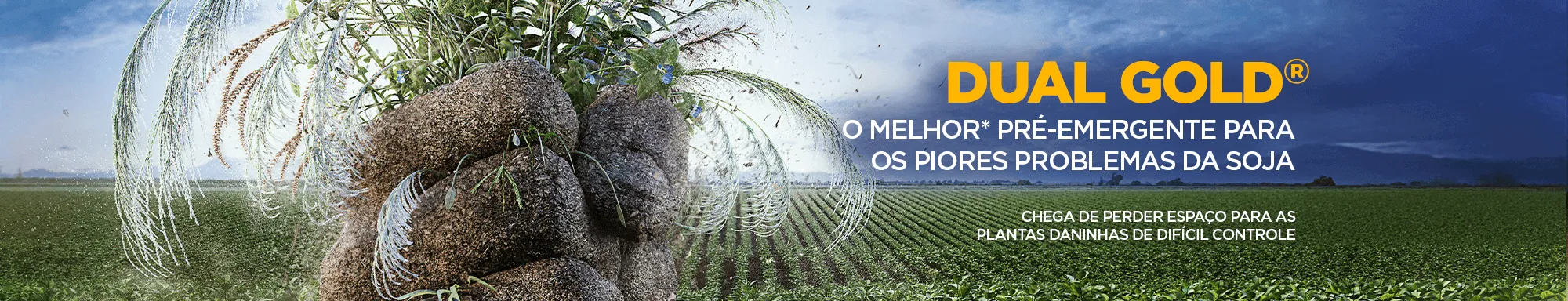 Dual Gold, herbicida pré-emergente para a soja