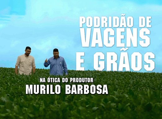 Ep. 1 | Podridão de Vagens e Grãos: ótica do produtor