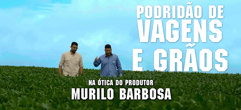 Ep. 1 | Podridão de Vagens e Grãos: ótica do produtor