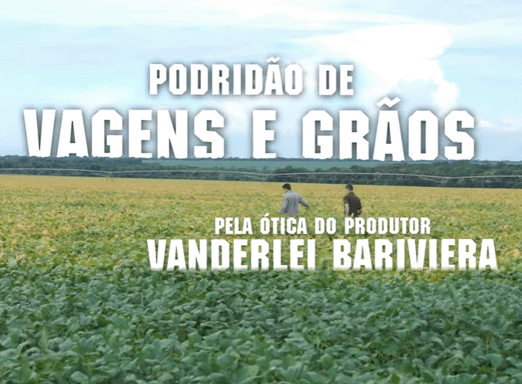 Ep. 3 | Podridão de Vagens e Grãos: ótica do produtor
