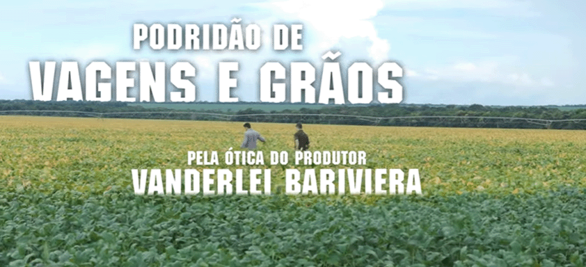 Ep. 3 | Podridão de Vagens e Grãos: ótica do produtor