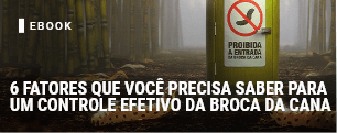 6 fatores que você
precisa saber
para um controle efetivo da broca da cana