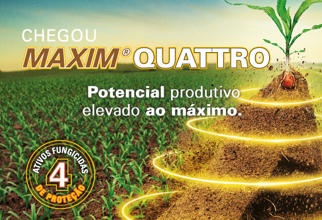 Banner Maxim Quattro