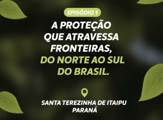 VICTRATO®: descubra como o incomparável atua no dia a dia do produtor ​