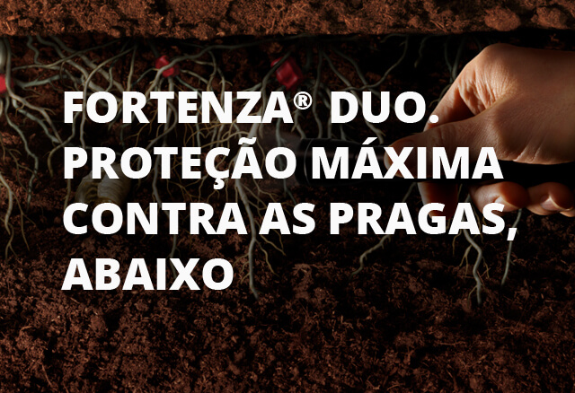 Fortenza Duo: poderoso tratamento de sementes inseticida