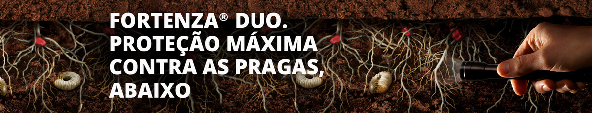 Fortenza Duo: poderoso tratamento de sementes inseticida
