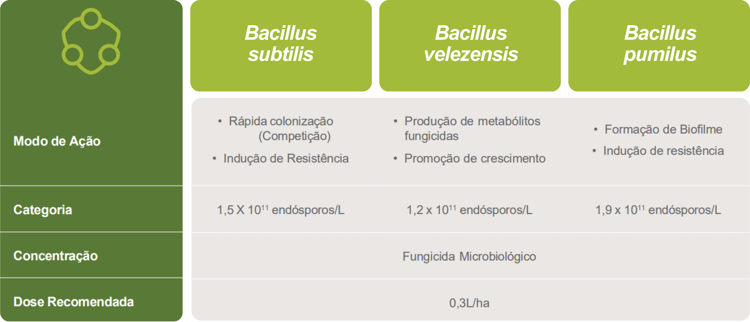 Mitrion é composto por Solatenol (Carboxamida) e Protioconazol (Triazol)