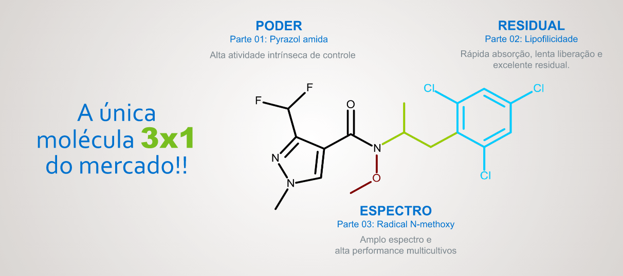 Controle da ferrugem