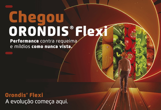 Banner Orindis Flexi