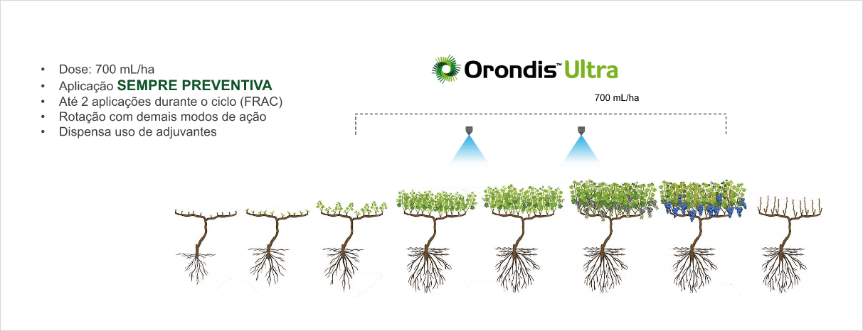 Posicionamento Orondis Ultra