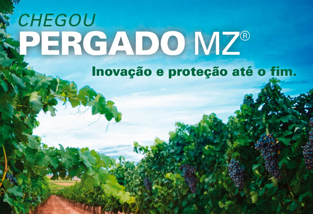 Banner Pergado MD