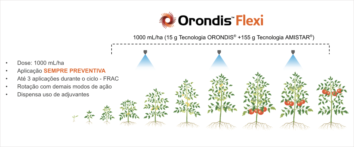 Banner sobre o posicionamento do produto Orondis Flexi