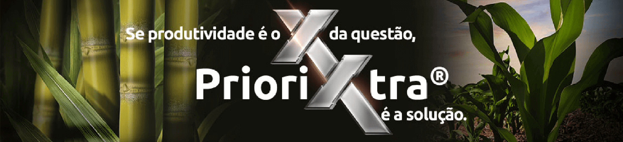 Se produtividade é o X da questão Priori Xtra é a solução.
