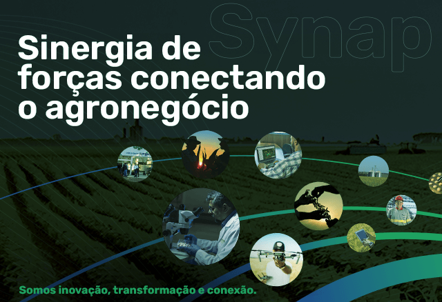 banner sobre sinergia synap
