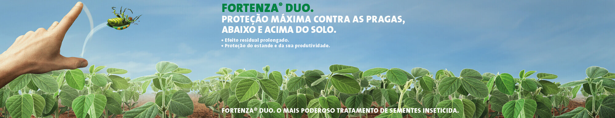 Fortenza Duo: poderoso tratamento de sementes inseticida